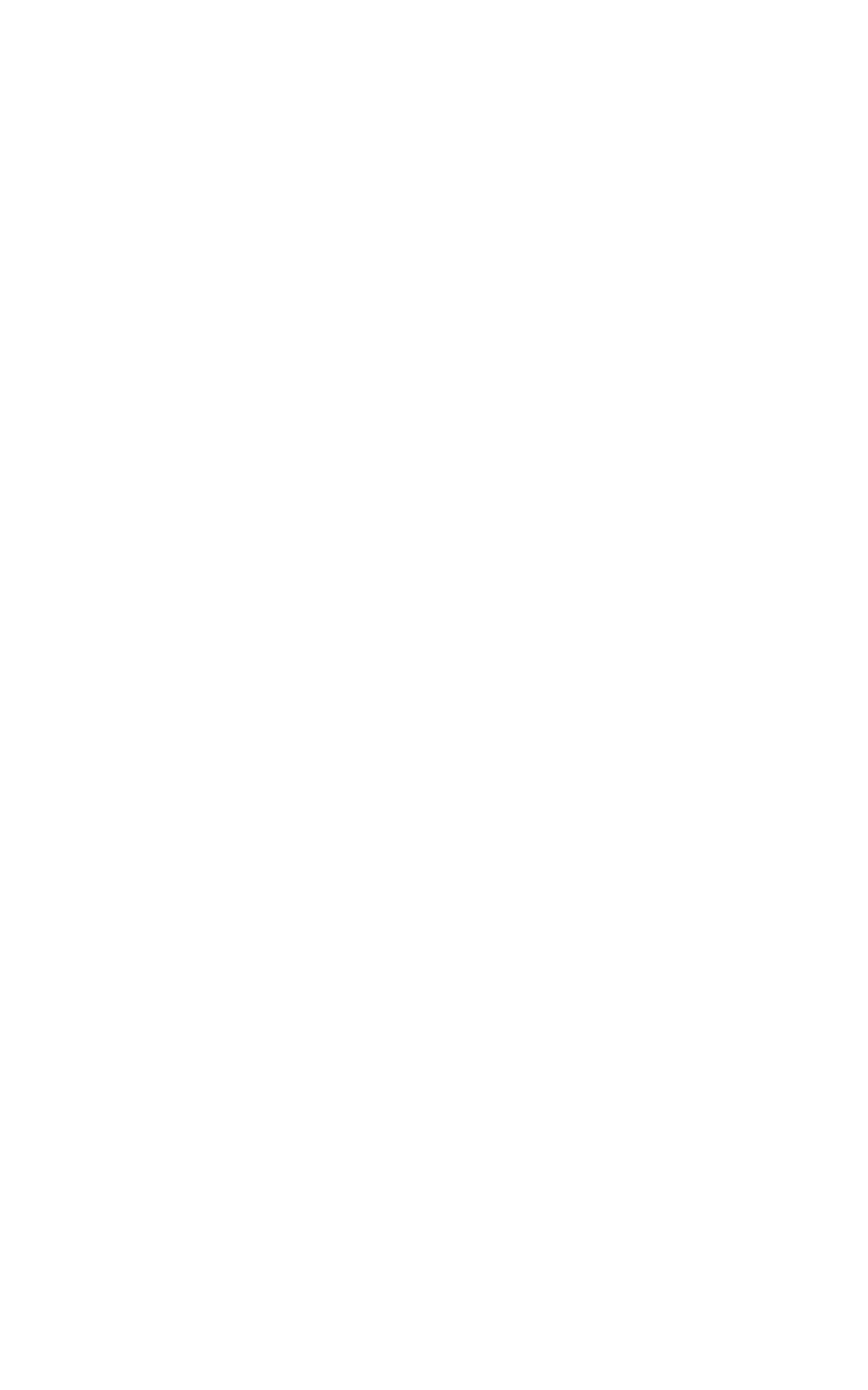 Snelgrove twin cone logo